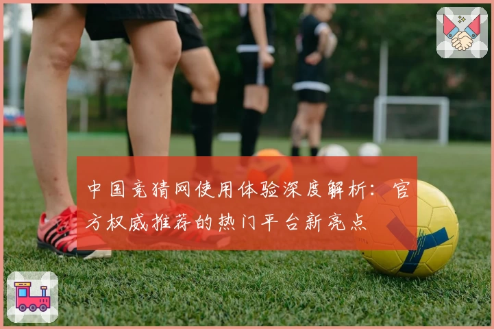 中国竞猜网使用体验深度解析：官方权威推荐的热门平台新亮点