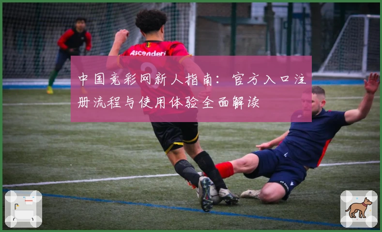 中国竞彩网新人指南：官方入口注册流程与使用体验全面解读