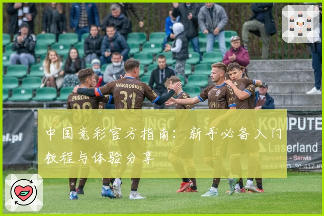 中国竞彩官方指南：新手必备入门教程与体验分享